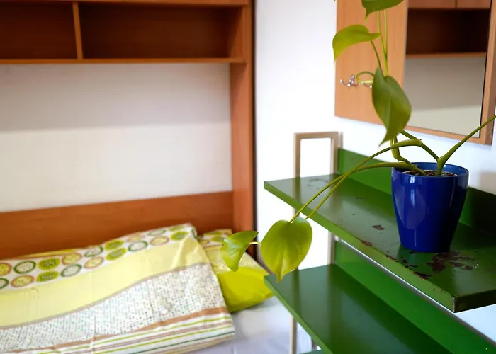 Dom Studencki Talizman Albergue